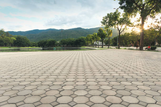 Best Professional Driveway Pavers  in La Habra, CA