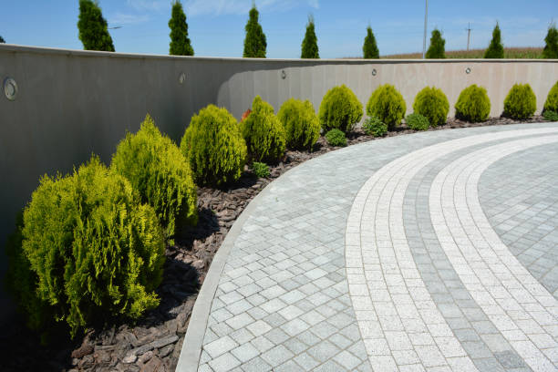 Best Custom Driveway Pavers  in La Habra, CA